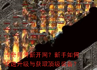 ����ʦ���¿�����������ο����������ȡ����װ����