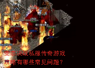 ��̬��ս˽��������Ϸ��������Щ�������⣿