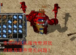 ��̬��ս˽��������Ϸ��������Щ�������⣿