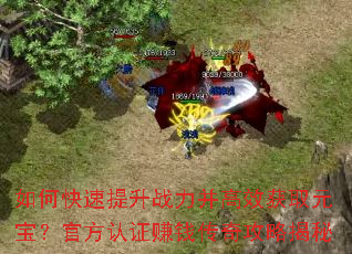 ��ο�������ս������Ч��ȡԪ�����ٷ���֤׬Ǯ���湥�Խ���