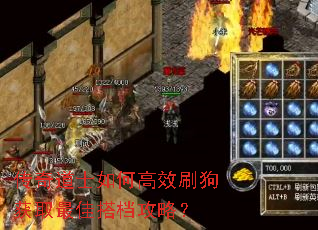 �����ʿ��θ�Чˢ����ȡ��Ѵ���ԣ�