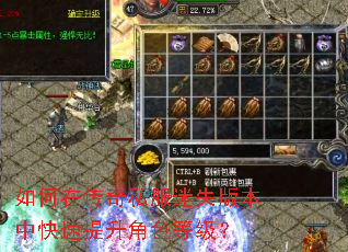 如何在传奇私服迷失版本中快速提升角色等级? 如何在传奇私服迷失版本中快速提升角色等级?