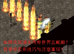 ��θ�Чͨ�ش����������ߵ����Щʵ�ü�����ע�����