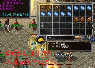 如何快速提升传奇3私服角色等级? 如何快速提升传奇3私服角色等级?