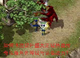 如何快速提升盛大正版热血传奇私服角色等级与装备战力? 如何快速提升盛大正版热血传奇私服角色等级与装备战力?