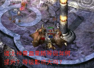 ��ʿ����Ѫ����ȼ�����������ȼ�Ӱ�����
