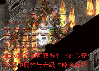 Ѫ��������λ�ã����ڴ���˽������������������ȫ����