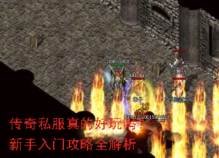 ����˽����ĺ������������Ź���ȫ����