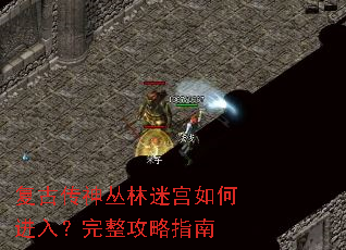 复古传神丛林迷宫如何进入?完整攻略指南 复古传神丛林迷宫如何进入?完整攻略指南