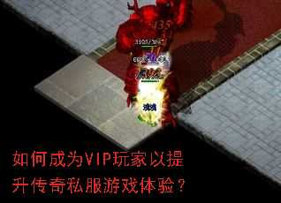 ��γ�ΪVIP�������������˽����Ϸ���飿
