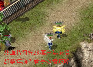 ��Ѫ����˽���ͻ��˰�װ������⣿���ֱؿ�����