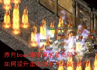 ����boss���������������������ɱЧ����װ����ȡ��