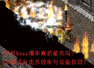 ����boss���������������������ɱЧ����װ����ȡ��