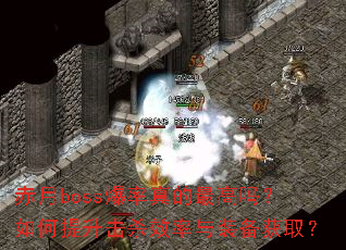 ����boss���������������������ɱЧ����װ����ȡ��