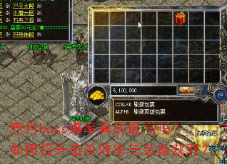 ����boss���������������������ɱЧ����װ����ȡ��