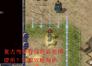 ���Ŵ���洢�������ʹ�ã��������Խ���