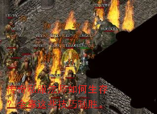 ����˽����ʦ������棿ȫ����Щ������ʤ��