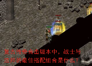 ���Ŵ���ϻ��汾�У�սʿ�뷨ʦ����Ѵ��������ʲô��