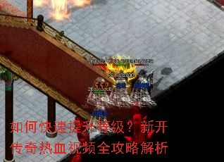 如何快速提升等级?新开传奇热血视频全攻略解析 如何快速提升等级?新开传奇热血视频全攻略解析