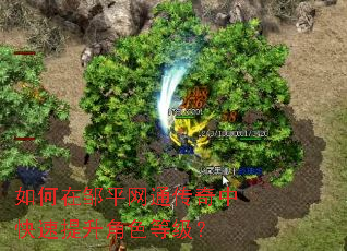 �������ƽ��ͨ�����п���������ɫ�ȼ���