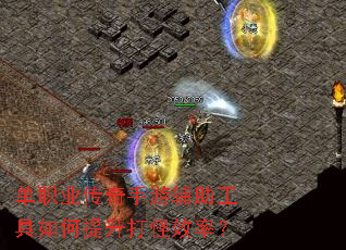 ��ְҵ�������θ�����������������Ч�ʣ�