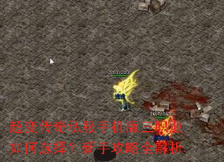 ���䴫��˽���ֻ�����ְҵ���ѡ�����ֹ���ȫ����