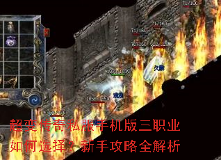 ���䴫��˽���ֻ�����ְҵ���ѡ�����ֹ���ȫ����