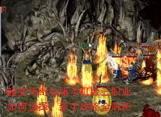 ���䴫��˽���ֻ�����ְҵ���ѡ�����ֹ���ȫ����