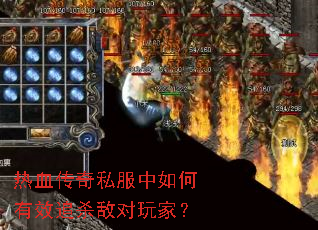 ��Ѫ����˽���������Ч׷ɱ�ж���ң�