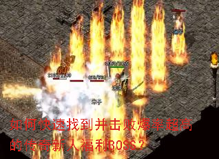 ��ο����ҵ������ܱ��ʳ��ߵĴ������˸���BOSS��
