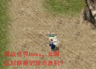 ��ս����boss�����Ӧ�԰��ص�����Σ����
