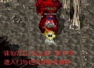 ����2����ʽ���ߣ����ֿ�����������׹���ȫ����