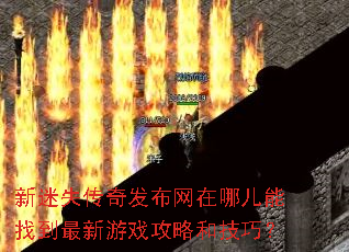 ����ʧ���淢�������Ķ����ҵ�������Ϸ���Ժͼ��ɣ�