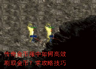 �����ҷ�����θ�Чˢȡ��ң����Լ���