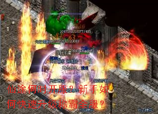 仙途何时开服?新手如何快速升级称霸全服? 仙途何时开服?新手如何快速升级称霸全服?