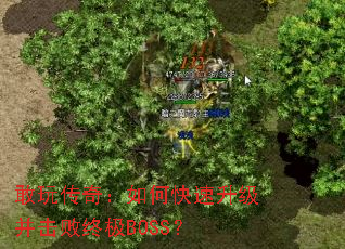 ���洫�棺��ο��������������ռ�BOSS��