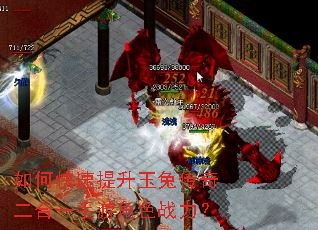 如何快速提升玉兔传奇二合一手游角色战力? 如何快速提升玉兔传奇二合一手游角色战力?