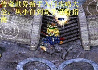 传奇世界新手入门攻略大全：从小白到高手进阶指南