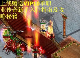 上线赠送VIP10单职业传奇新手入门指南及攻略秘籍