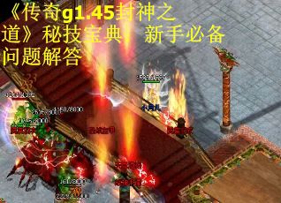 《传奇g1.45封神之道》秘技宝典：新手必备问题解答